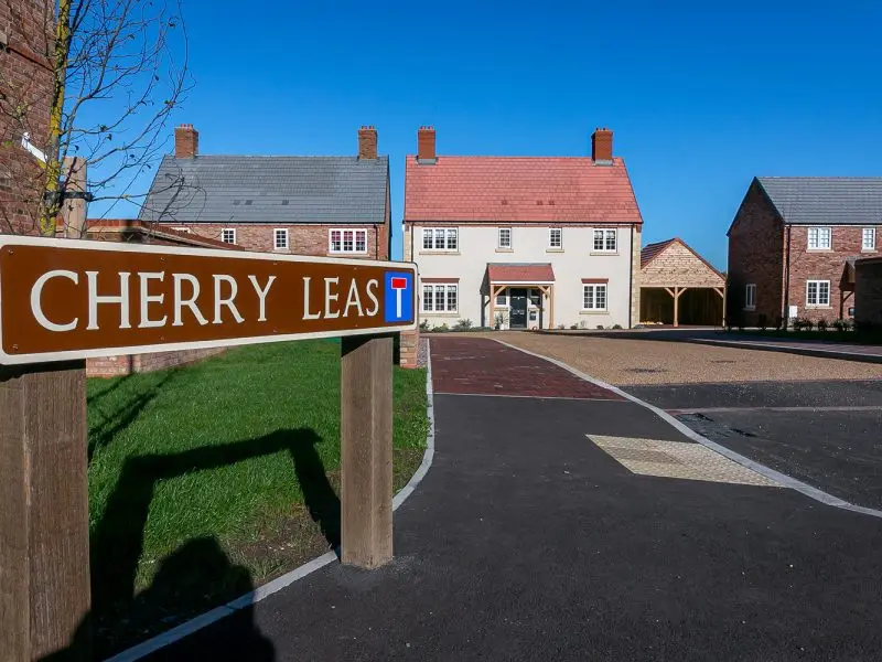Cherry Leas_Canon_Nov2022-11